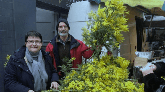 ISM vente mimosa Lavalette